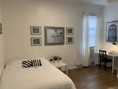 Fully Furnished Studio | The Annex Image# 5