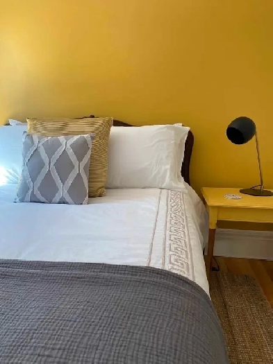 FULLY-FURNISHED, PRIVATE APT, SUNNY, HISTORICAL, DWTN KINGSTON Image# 1