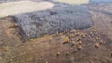 7.51 Acres in Sundown Image# 1