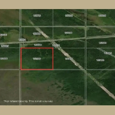 160 Acres in Sundown Image# 2
