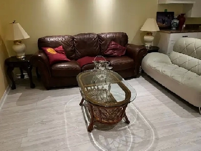 Spacious and newly Renovated basement for rent Image# 4