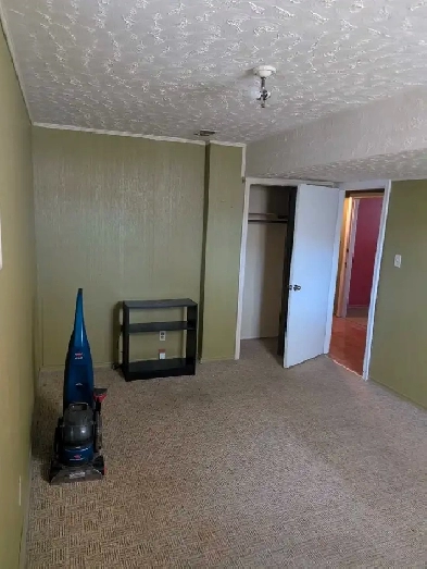 looking for roommate for basement suite Image# 1