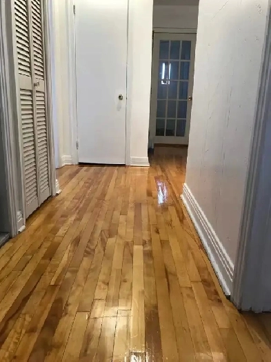 $1950 5 12 TRÈS GRAND ET BEAU près métro St-Michel 1 juillet Image# 3