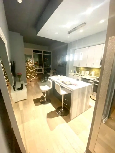 Penthouse condo Parklawn Lakeshore 1 bedroom plus den SKYBOX LUX Image# 6