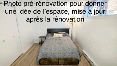 À louer – Grand 5 ½  rénové Rosemont-Petite-Patrie Image# 2