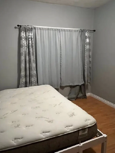 Room for Rent Image# 1