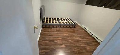Room for rent near Algonquin College Image# 2