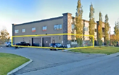 Business Asset Sale - Established Dog Daycare/Grooming Image# 1