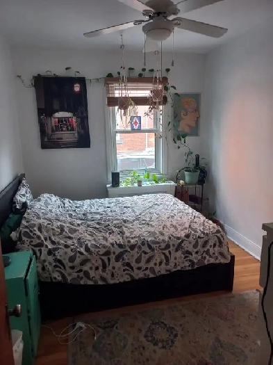 Appartement/colocation 2 chambres à louer dans une colocs de 4 Image# 1