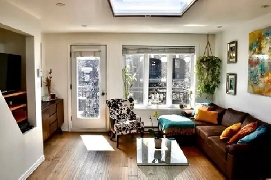 1cc appartement condo locatif, for rent, Ville-Marie Image# 1