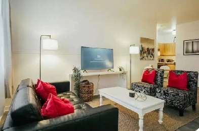 FULLY FURNISHED 1 Bedroom in the heart of HOCHELAGA Image# 10