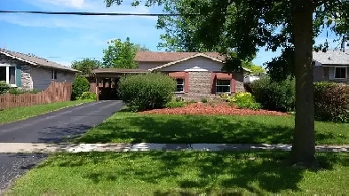 Female Student Home w/ Parking for Rent, Niagara College Welland Image# 1