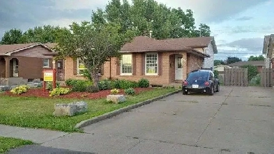 Off Campus Student Home for Rent Right Across from NC, Welland Image# 1