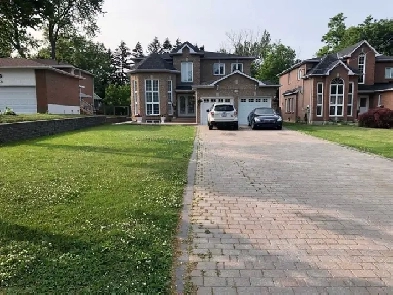 (2) SEPERATE BEDROOM(S) FOR RENT IN BEAUTIFUL HOME Image# 1