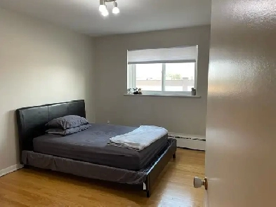 Looking for a female rommate Image# 1