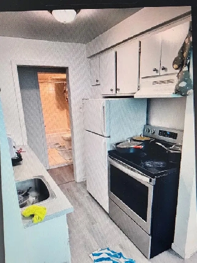 APPARTEMENT 4 1/2 DEMI SOUS-SOL - MERCIER  HOCHELAGA – JUILLET Image# 3