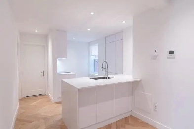 appartement rénové 4 1/2 à Outremont - ID 3396 Image# 14