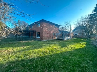 For Lease| Richmond Hill | 3 1 Beds | 3 Baths | Finished Bsmt Image# 6