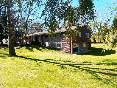 New Listing Bungalow 3.7 tree acre. Barn Pond (Caledon) Image# 8