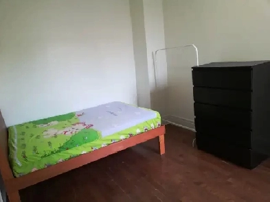 Lansdowne and Bloor 1 bedroom Long term rental for female 880 Image# 1
