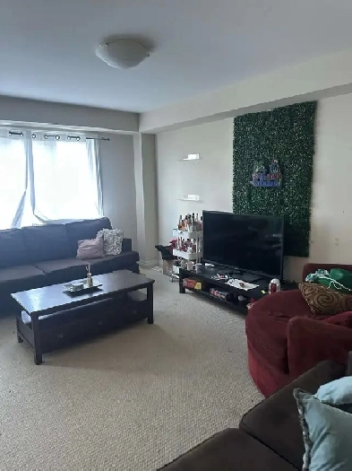 1 Bed 1 Bath Image# 9