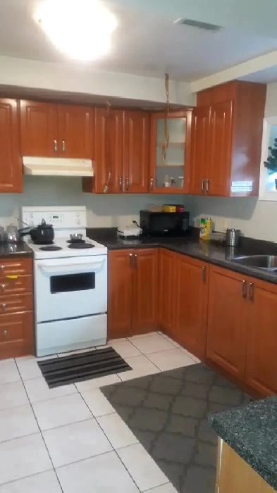 WALKOUT GROUNDLEVEL BASEMENT FOR RENT Image# 4