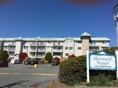 Apartment for rent next to Country Club Mall Image# 2