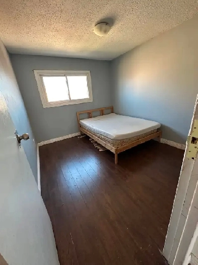 Nice big room upper floor near Humber Col. Image# 1