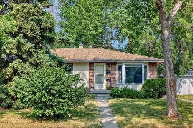 Spacious and Bright 3 Bedroom in Highwood Image# 8