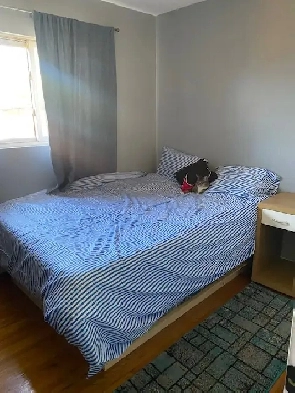 Room for Rent near U of C and SAIT Image# 1