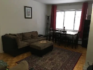 One bedroom apartment- furnished- all included Image# 1