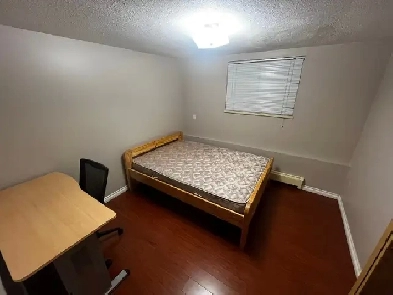 furnished private room near PNE & Renfrew station Image# 1