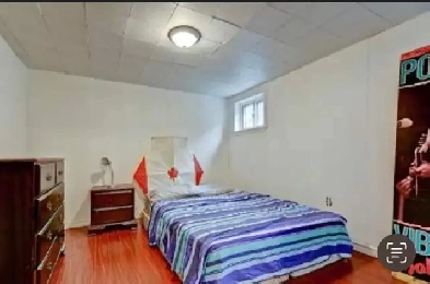 1 bedroom rent in Scarborough (basement) Image# 1