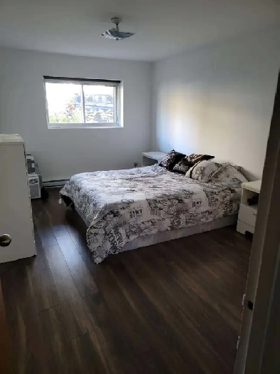 GRAND APPARTEMENT LUMINEUX ET ENSOLEILLÉ DE 3,5 ½ À VILLERAY Image# 4