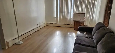 Large one bedroom apt for rent Image# 3