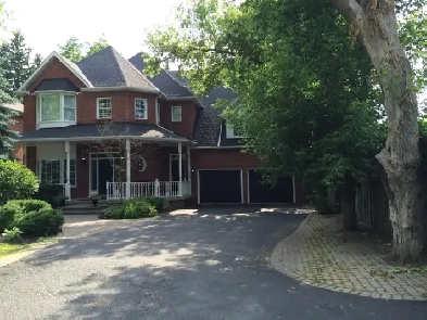 A Large Suite For Rent in Markham Image# 3