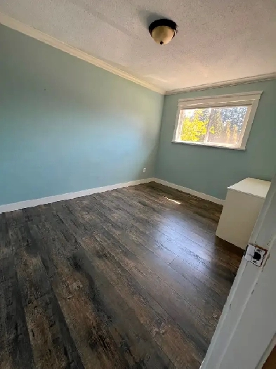 Room for Rent Image# 1