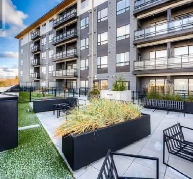 Waterloo 2 bedroom 2 bathroom apartment for rent Image# 1