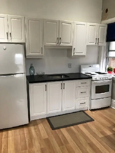 BRIGHT AND CLEAN BACHELOR APARTMENT FOR RENT Image# 5