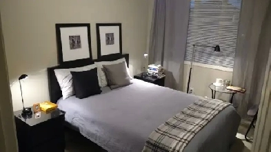 Room for Rent for a Single Male in Evergreen Available May 20 Image# 1