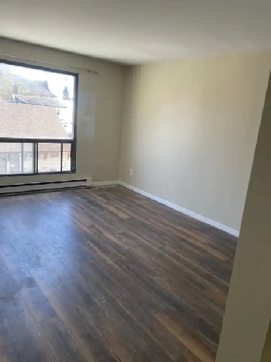 Large- Beautiful One Bedroom Apartment - Orillia Image# 5