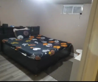female only basement for rent BRAMPTON Image# 1