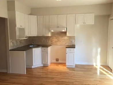 Visites aujourd’hui! 4½, Verdun, RdC avec cour. Image# 1