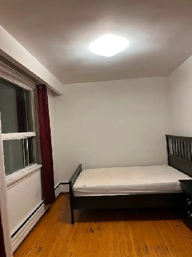 $900 Nice room for rent in Toronto : Dovercourt Rd & Dundas St W Image# 1