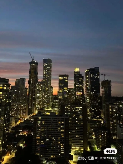 Beautiful room in Down town Toronto for rent Image# 1