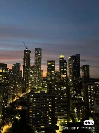 Beautiful room for rent downtown Toronto Image# 1