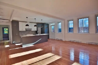 Grand 5 1/2  Outremont Image# 1