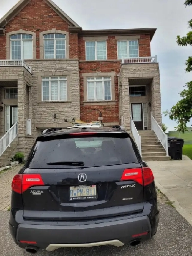 2 Bed rooms basement near Humber College for rent from June 1st Image# 1