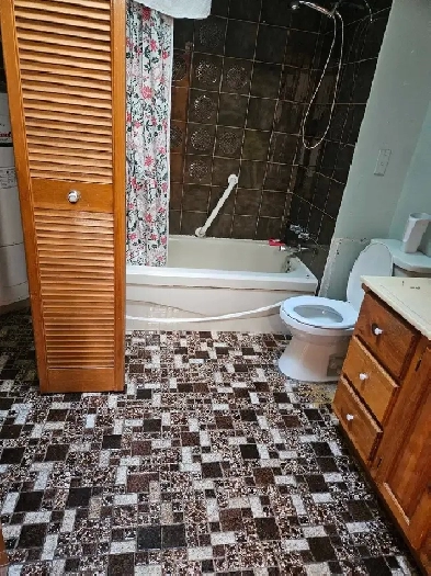 appart 5 1/2  514 582-4536 Image# 1