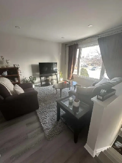 Kingston:  Sublet May to August FURNISHED for ladies onlydy Image# 1